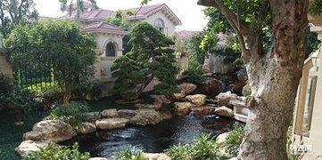 南海區(qū)鹽步工廠園林綠化養(yǎng)護(hù)別墅假山魚池綠化景觀設(shè)計(jì)