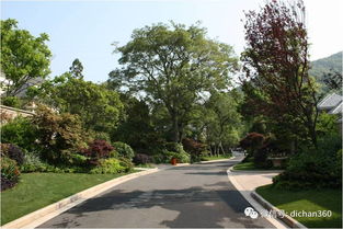 綠城別墅項目景觀設(shè)計手法探析